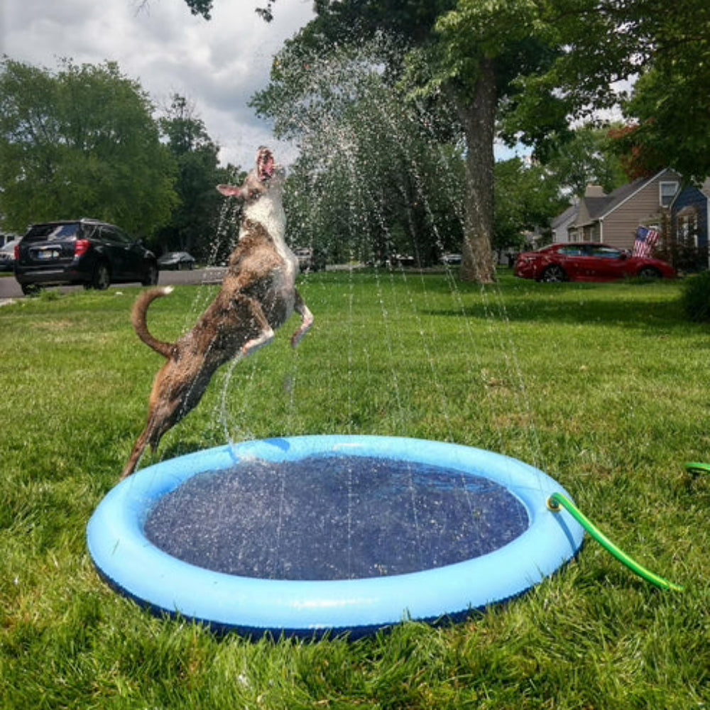 CoolPaws Dog Sprinkler Pool